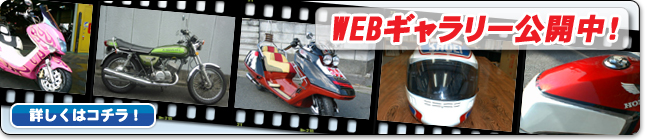 WEBM[JI